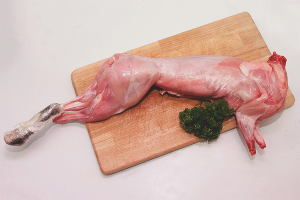 Cum să crești un iepure pentru carne